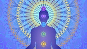 STREAM «THE TECHNIQUE OF TRANSCENDENTAL MEDITATION (TM). QUESTIONS AND ANSWERS SESSION»